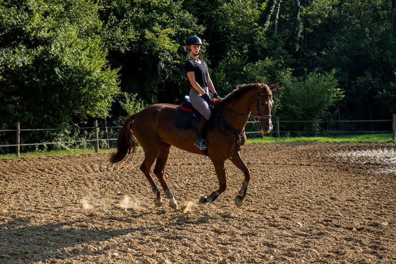 campi equitazione aperto