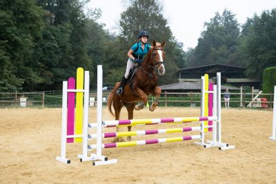 salto ostacoli cavallo istruttore